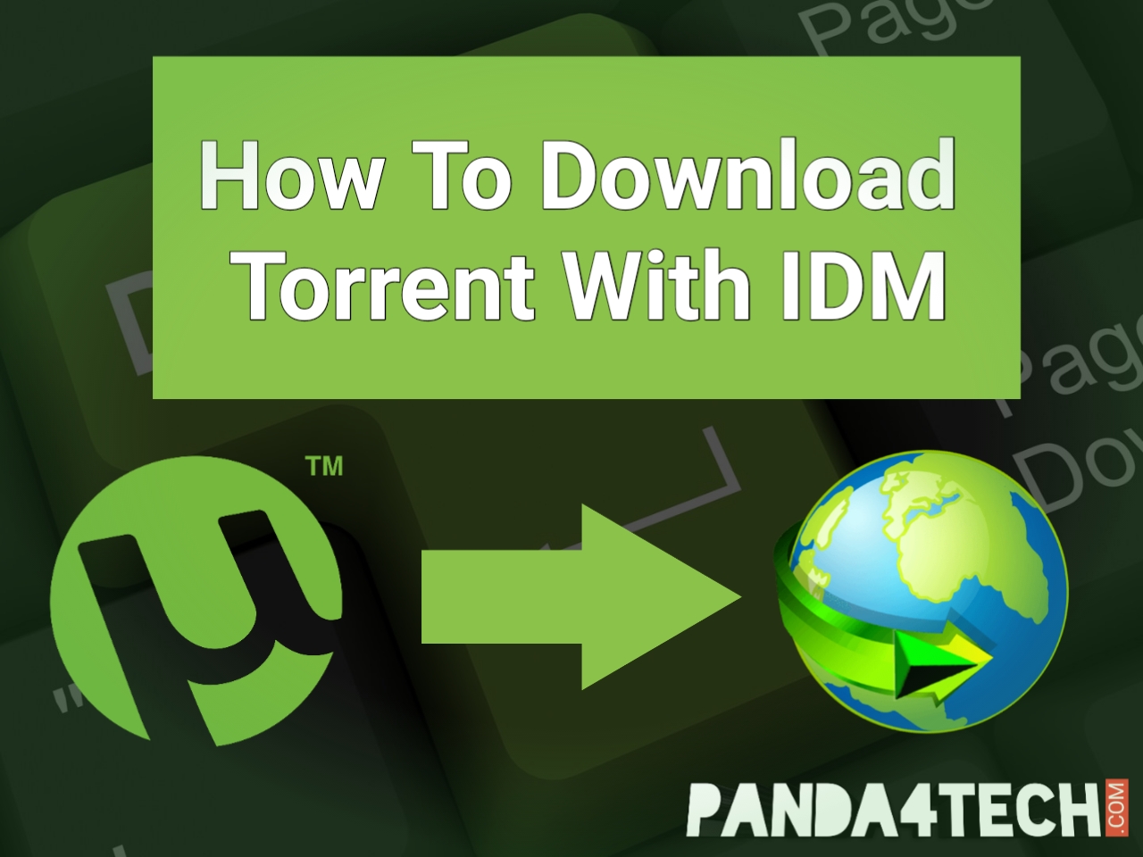 How To Download Torrent Via Idm