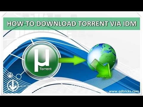 How To Download Torrent Via Idm